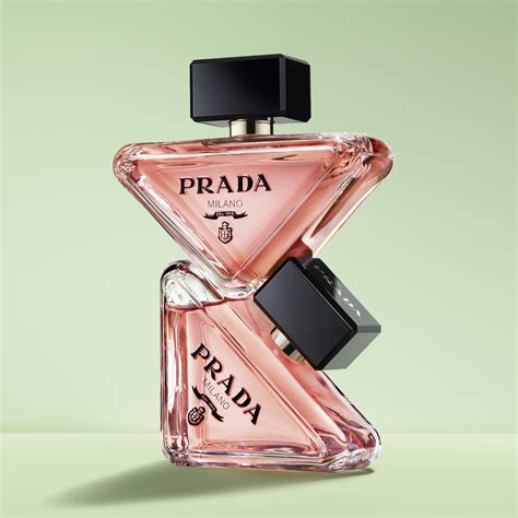 paradoxe prada ressemblance